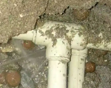 阳朔测漏水多少钱