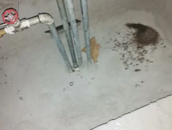 阳朔卫生间测漏水价格明细