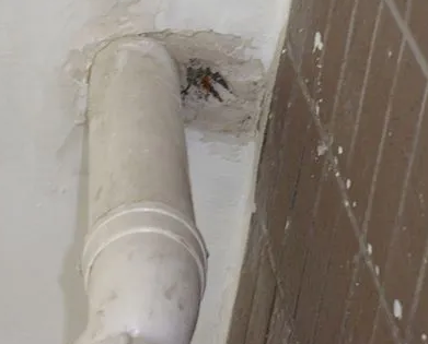 阳朔漏水检测哪家好